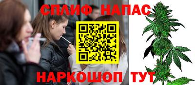 стафф Краснознаменск