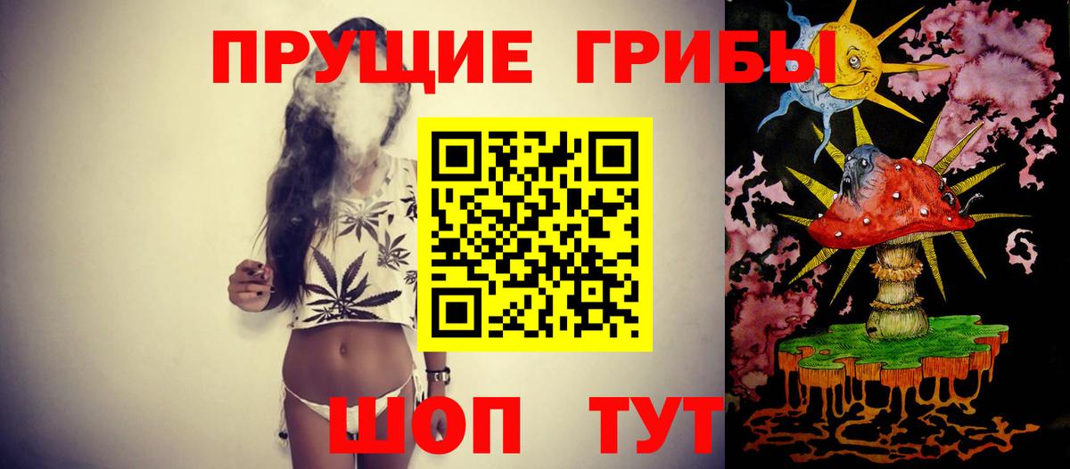 Псилоцибиновые грибы MAGIC MUSHROOMS  Псилоцибиновые грибы MAGIC MUSHROOMS  Вход с VPN  Еманжелинск 