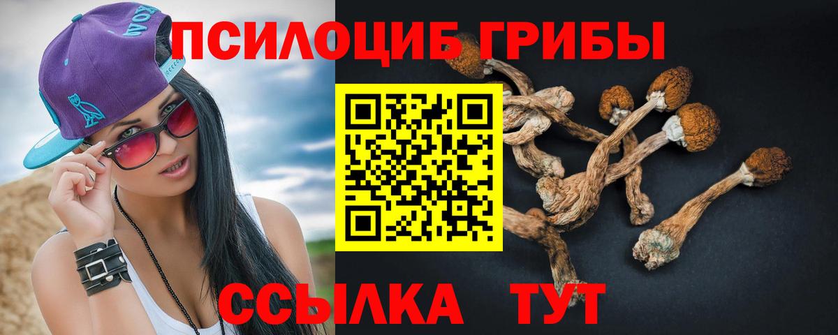 Псилоцибиновые грибы GOLDEN TEACHER Еманжелинск